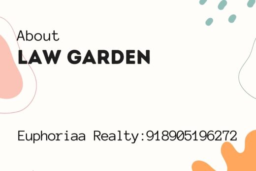 Property for Sale in Law Garden, Ahmedabad